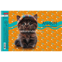 Альбом для рисования А4 40л "Мы-котики!" на спирали, перфорация на отрыв, 4 дизайна 091537 от магазина "Карандаш"