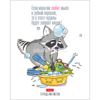 Тетрадь А5 48л клетка "Прикольный Енот" на скобе 5 дизайнов 48Т5В1/054389 от магазина "Карандаш"