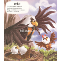 Книжка "Чудесные превращения. Превращения в природе" 12стр. 9785001349037 от магазина "Карандаш"