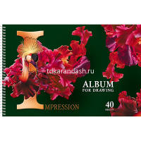 Альбом для рисования А4 40л "Beautiful birds" на спирали, перфорация на отрыв, 5 дизайнов 058396 от магазина "Карандаш"