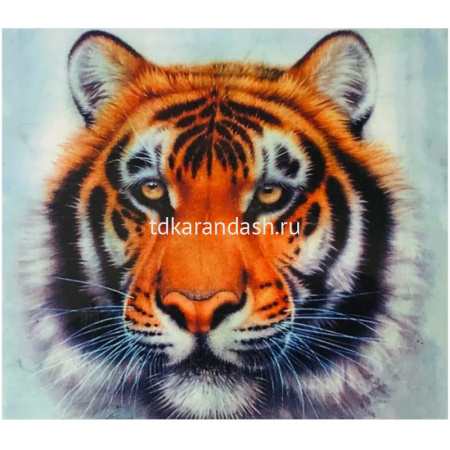 Алмазная мозаика 30х40см "Тигр" частичная выкладка BDF72743