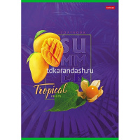 Тетрадь А4 80л клетка "Тропическое лето" на скобе 3 дизайна 80Т4В1/066232 от магазина "Карандаш"
