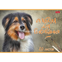 Альбом для рисования А4 20л "Наши верные друзья" на скобе тиснение 5 дизайнов 079718 от магазина "Карандаш"