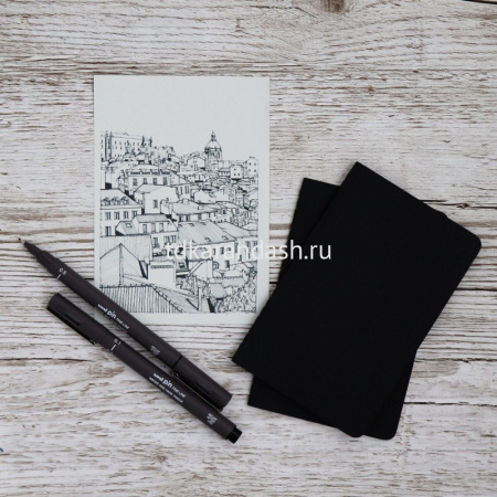 Ручка капиллярная "PIN02-200" 0,2мм черная 141530 от магазина "Карандаш"