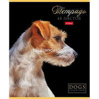 Тетрадь А5 48л клетка "Портрет лучшего друга" на скобе выборочный лак 5 дизайнов 080210 от магазина "Карандаш"