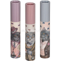 Ручка шариковая "DreamWrite. Очень важный кот" 0,7мм синяя, в футляре, 3 вида 20-0264/09 от магазина "Карандаш"