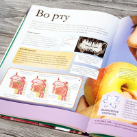 Энциклопедия "Тело человека" 128стр. Гибберт К. 978-5-17-110804-5 от магазина "Карандаш"