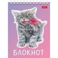 Блокнот А6 40л "Котики бывают разными" клетка, на спирали УФ-лак 6 дизайнов 080474 от магазина "Карандаш"
