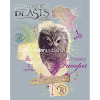 Тетрадь А5 24л клетка "Фантастические твари" на скобе 5 дизайнов 24Т5В1/19750 от магазина "Карандаш"