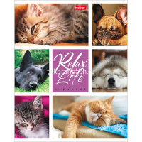 Тетрадь А5 24л клетка "Relax Life" на скобе 24Т5В1/046960 от магазина "Карандаш"