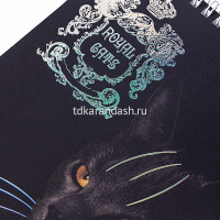 Блокнот А5 80л "Royal Cats" клетка, на спирали, 3D фольга матовая ламинация, 2 дизайна 80Б5лофВ1гр от магазина "Карандаш"
