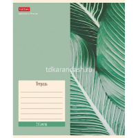 Тетрадь А5 24л клетка "Nature" на скобе 5 дизайнов 074942 от магазина "Карандаш"