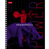 Тетрадь А5 80л клетка "В движении" на спирали глянцевая ламинация 4 дизайна 80Т5лВ1гр/063296 от магазина "Карандаш"