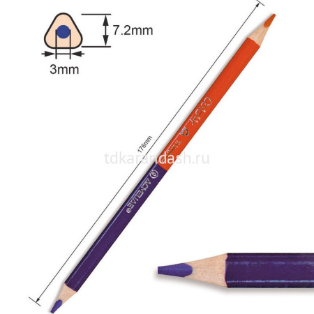 Карандаши 24 цвета "Acmeliae" 12шт. двусторонние трехгранные дерево, картон C12-24 от магазина "Карандаш"