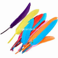 Набор перьев 10шт/уп., размер пера 11-15см, 10 цветов Y10854-24 от магазина "Карандаш"