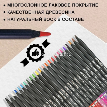 Карандаши 24 цвета "Blackwood Artmate" 12шт. двусторонние трехгранные дерево, картон 43186 от магазина "Карандаш"