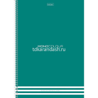 Тетрадь А4 96л клетка "Monocolour" на спирали, перфорация на отрыв, матовая ламинация 2 дизайна от магазина "Карандаш"