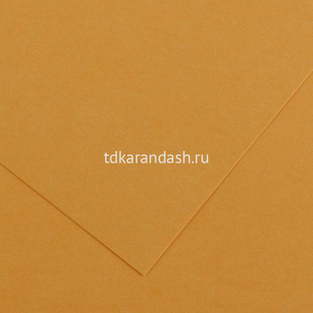 Бумага тонированная 50х65см 120г/м2 № 32 оранжевая кожа "Iris Vivaldi" 200040069