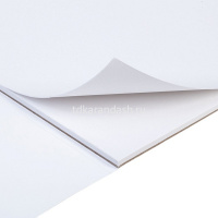 Альбом для рисования и худож.работ А4 10л "Любопытный носик" 220г/м2 склейка жесткая подложка от магазина "Карандаш"