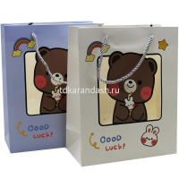 Пакет подарочный "Good luck" 14,5х19,5х6см с прозрачным окном 3 цвета 11448-24 от магазина "Карандаш"