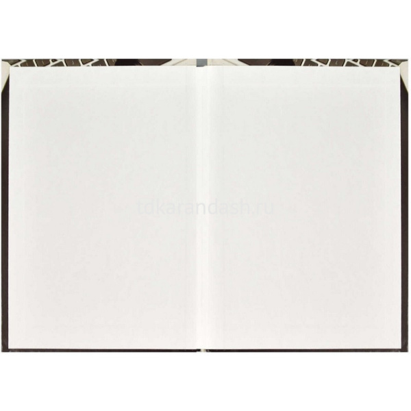 Ежегодник учителя А6+ 256л "Глобус" твердая обложка, глянцевая ламинация 65091 от магазина "Карандаш"