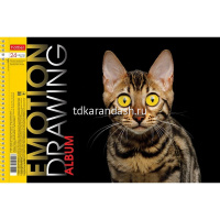 Альбом для рисования А4 24л "Яркие эмоции" на спирали, перфорация на отрыв, 5 дизайнов 074757 от магазина "Карандаш"