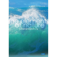 Тетрадь А4 96л линия "Элементы природы" на скобе глянцевая ламинация 3 дизайна 093582 от магазина "Карандаш"