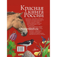 Красная книга России 280стр. (Пескова И.М.) 978-5-17-091649-8 от магазина "Карандаш"