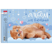 Альбом для рисования А4 32л "Пушистые мордочки" на спирали перфорация на отрыв 5 дизайнов 085220 от магазина "Карандаш"