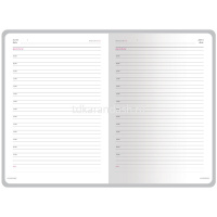 Набор подарочный "Caiman" (ежедневник А5+ 272стр. коричневый + ручка шариковая) 3-494-2 от магазина "Карандаш"