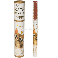 Ручка шариковая "DreamWrite. Сказочный день" 0,7мм синяя, в футляре, 3 вида 20-0264/16 от магазина "Карандаш"