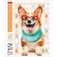 Тетрадь А5 48л клетка "Stylish animals" на скобе тиснение 5 дизайнов 48Т5тВ1/086323 от магазина "Карандаш"