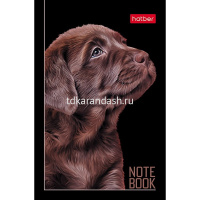 Блокнот А7 48л "Портрет лучшего друга" клетка, склейка, 3-х цветный блок, 5 дизайнов 078599 от магазина "Карандаш"