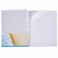 Тетрадь А4 96л без линовки "Романтика" на спирали, обложка с карманом, перфорация на отрыв 073907 от магазина "Карандаш"