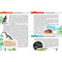 Красная книга мира 280стр. (Пескова И.М.) 0+ 978-5-17-113179-1 от магазина "Карандаш"