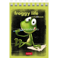Блокнот А7 40л "Лягух Кир" клетка, на спирали 6 дизайнов 081184 от магазина "Карандаш"