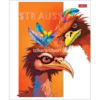 Тетрадь А5 48л клетка "Модные страусы" на скобе матовая ламиация 5 дизайнов 086208 от магазина "Карандаш"