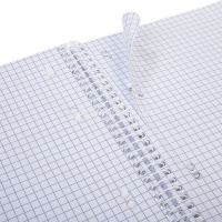 Тетрадь А5 120л клетка "Приключения чайки" на спирали 3цветных разделителя перфорация Soft-touch от магазина "Карандаш"