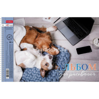 Альбом для рисования А4 40л "Профессионалы" на спирали перфорация на отрыв 4 дизайна 079781 от магазина "Карандаш"