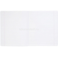 Тетрадь А5 12л линия "Зеленая" на скобе, пластиковая обложка 12Т5В2/083408 от магазина "Карандаш"