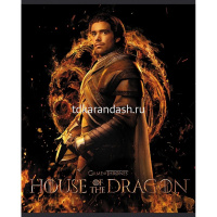 Тетрадь А5 48л клетка "Дом дракона" на скобе 5 дизайнов 48Т5В1/079424 от магазина "Карандаш"