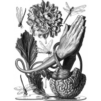 Ручка капиллярная "Pigma Micron" 0,45мм черная XSDK05#49 от магазина "Карандаш"