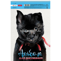 Альбом для рисования А4 40л "Глазки, ушки, носик" на спирали перфорация на отрыв 4 дизайна 079780 от магазина "Карандаш"