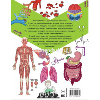 Энциклопедия "Почему, зачем и как. Человек: как работает наш организм" 128стр. 978-5-17-105463-2 от магазина "Карандаш"