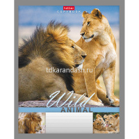 Тетрадь А5 24л линия "Мир животных" на скобе 24Т5B2/028380 от магазина "Карандаш"