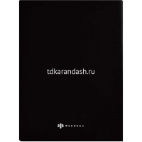 Папка-уголок "Зеркало души" А4 полипропилен 0,18мм УФ-печать 65892 от магазина "Карандаш"