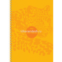 Тетрадь А4 96л клетка "Иллюзия" на спирали 96Т4В1гр/052773 от магазина "Карандаш"