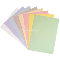 Набор картона цветного А4 8цв 8л "Совки гуляют" тонированный односторонний НК-4907 от магазина "Карандаш"