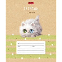 Тетрадь А5 12л косая линия "Кошарики" на скобе с доп.горизонтальной линией 5 дизайнов 074333 от магазина "Карандаш"