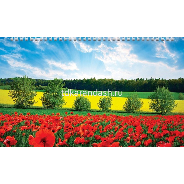 Календарь квартальный 2026 "Цветущие долины" 320х840мм настенный трехблочный, с бегунком 5 постеров от магазина "Карандаш"